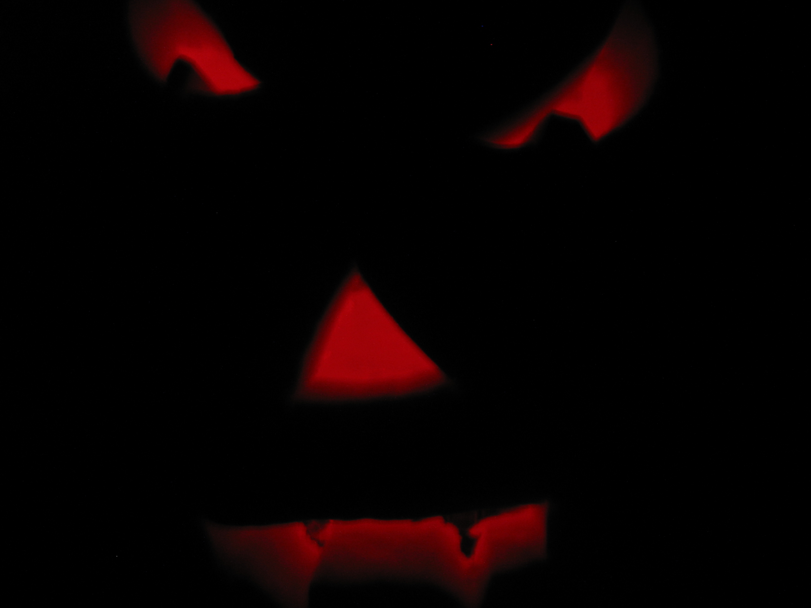 pumpkin 028.jpg