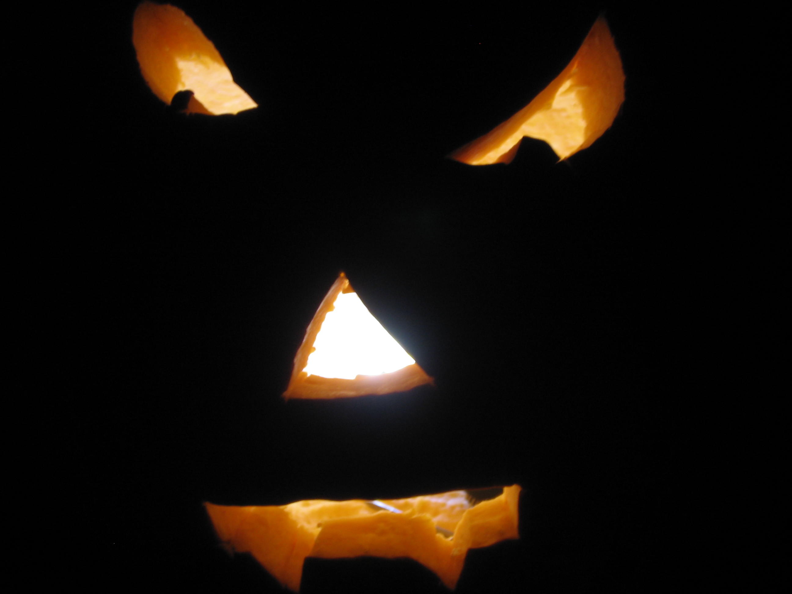 pumpkin 030.jpg