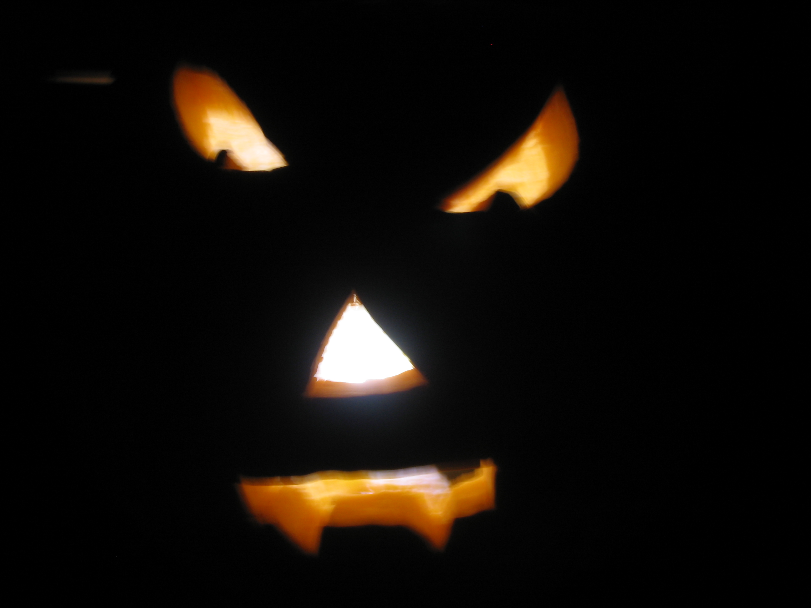 pumpkin 031.jpg