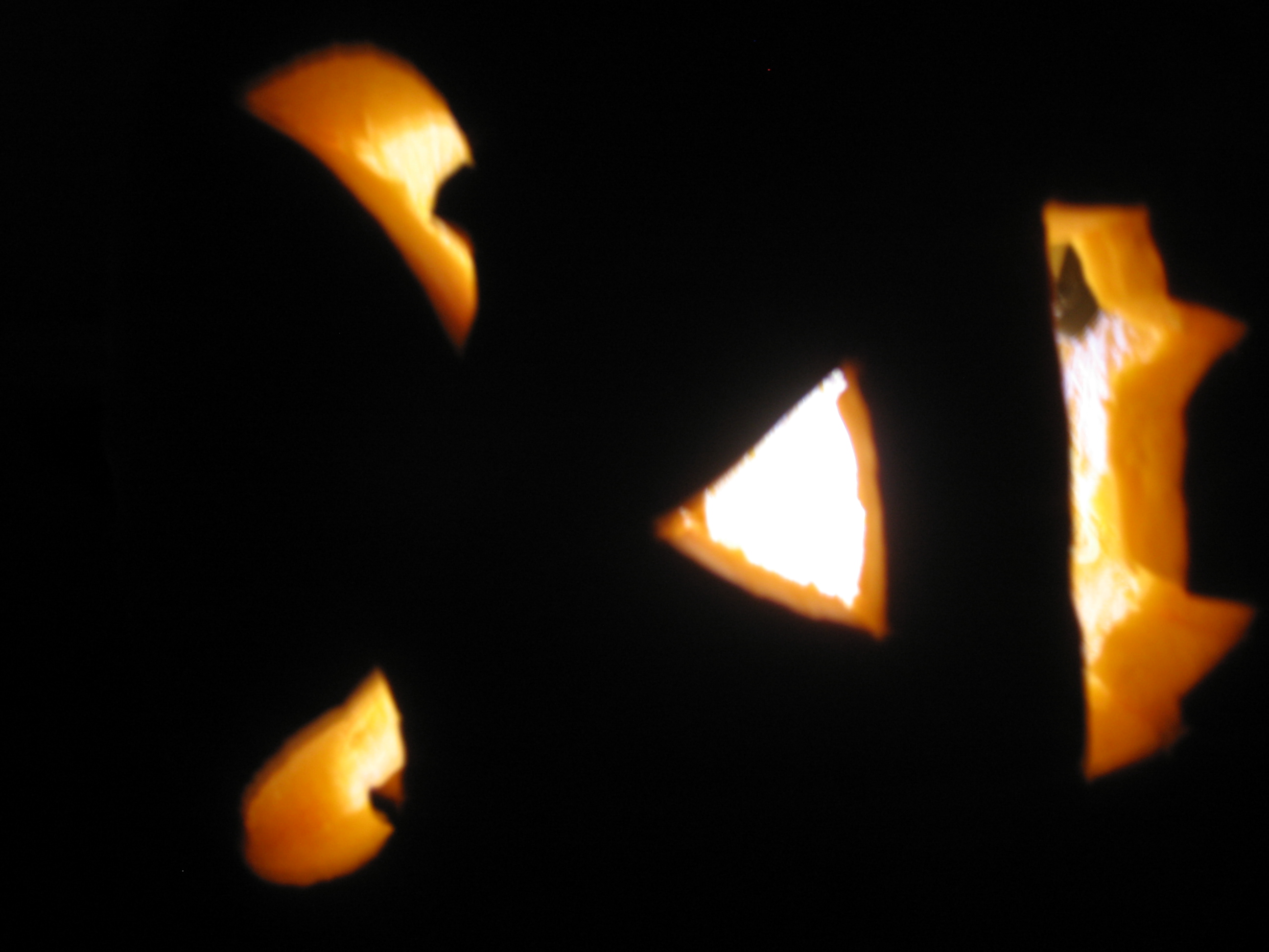 pumpkin 032.jpg