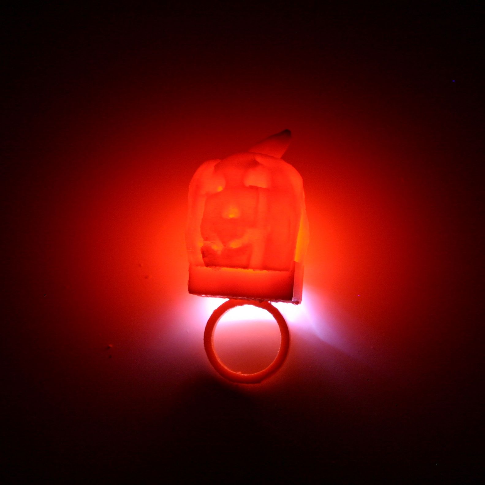 pumpkin ringa.jpg