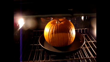 pumpkin9.png