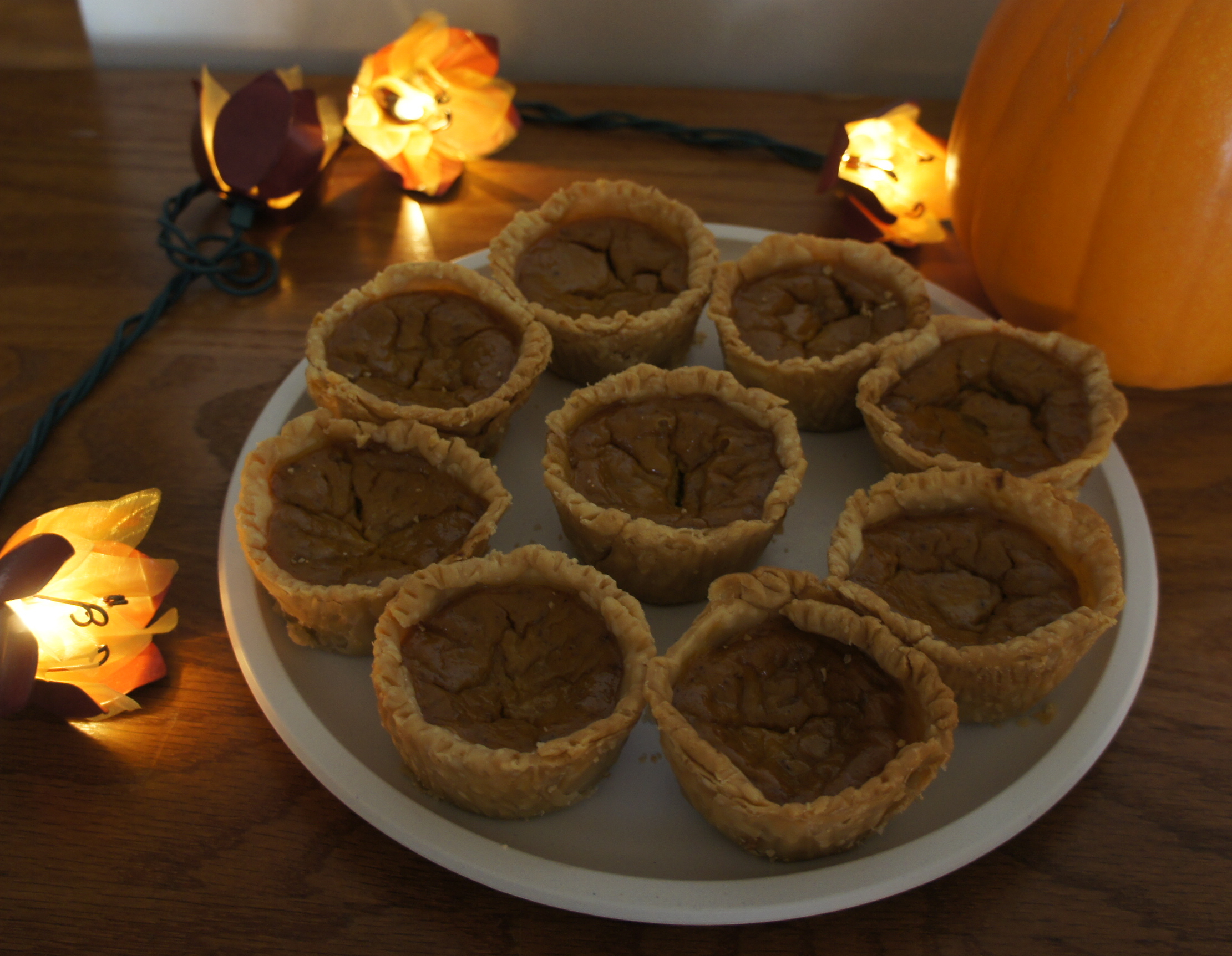 pumpkin_pies_displayed.jpg