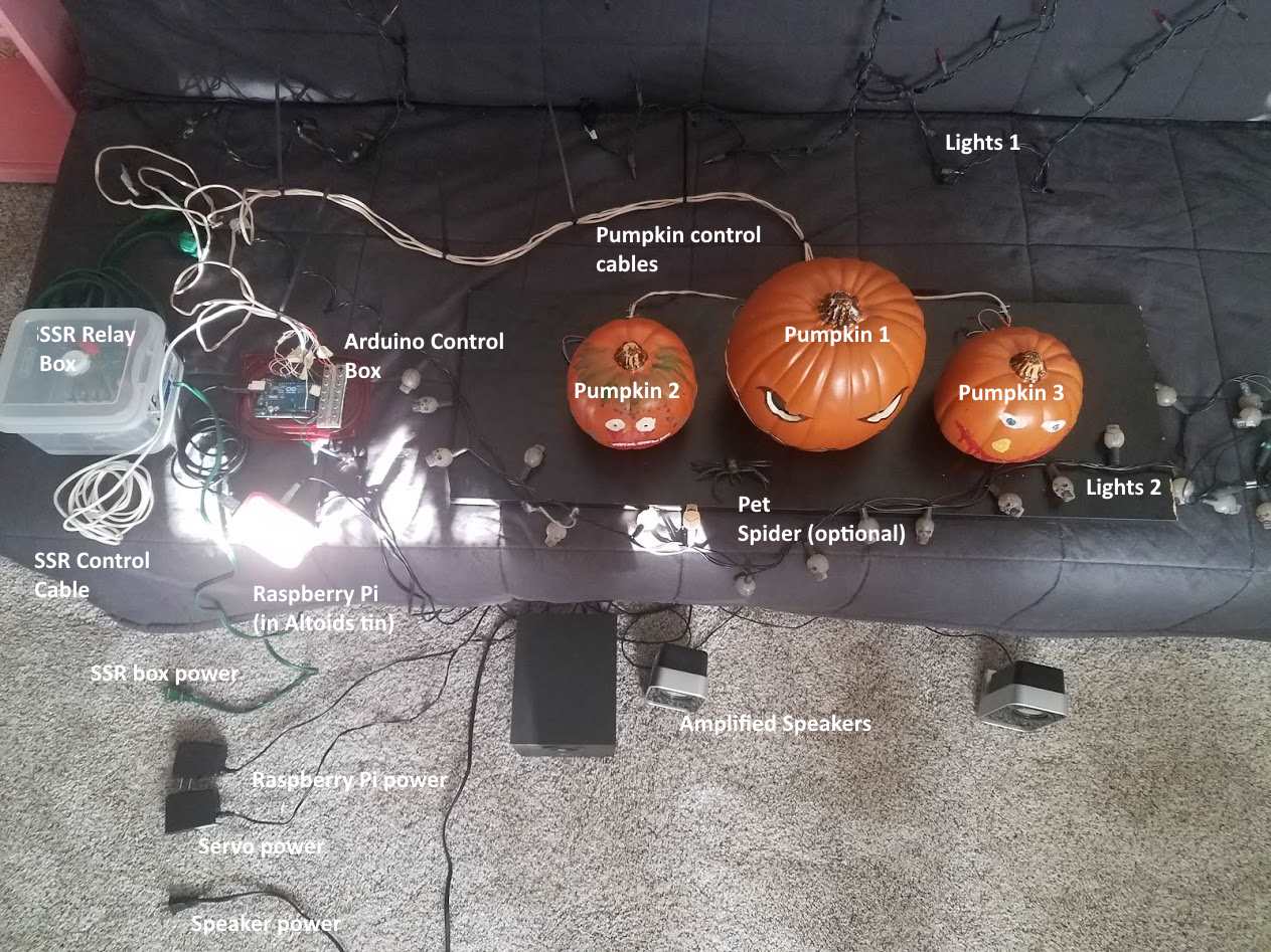 pumpkinssetuplabeled.jpg