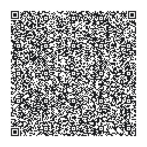 qr_code_bikeledisplaygui_Cr3knSYuAG.jpeg