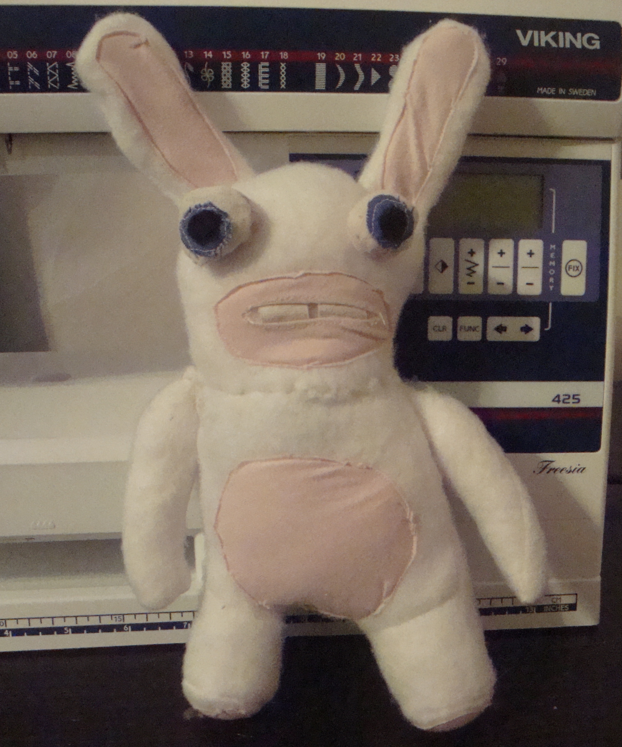 rabbid (1).JPG