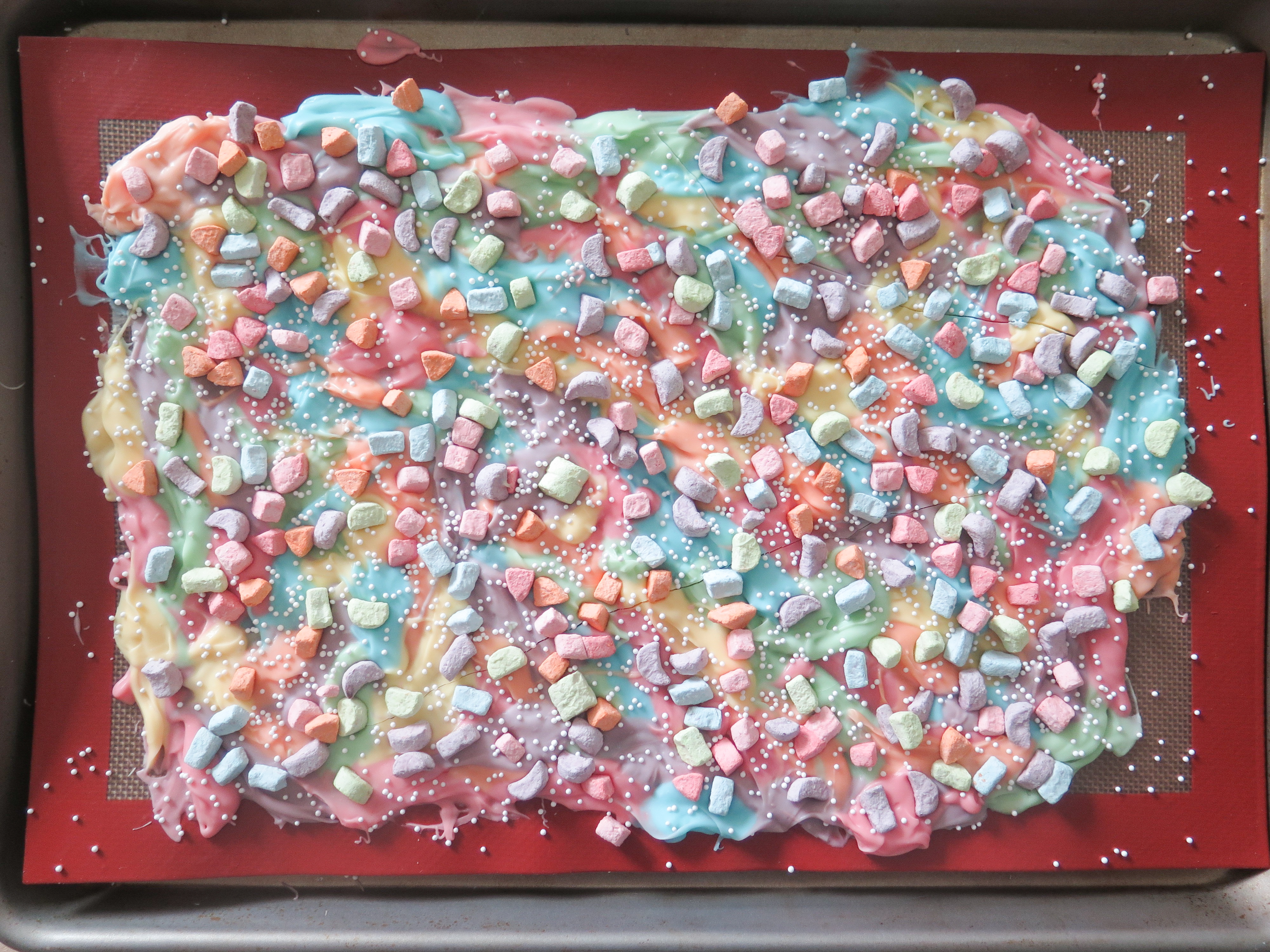 rainbow bark-15.jpg