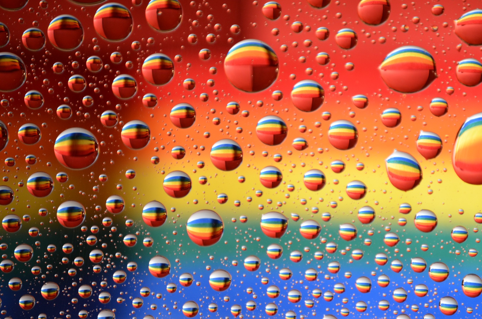 rainbow drop 026.JPG