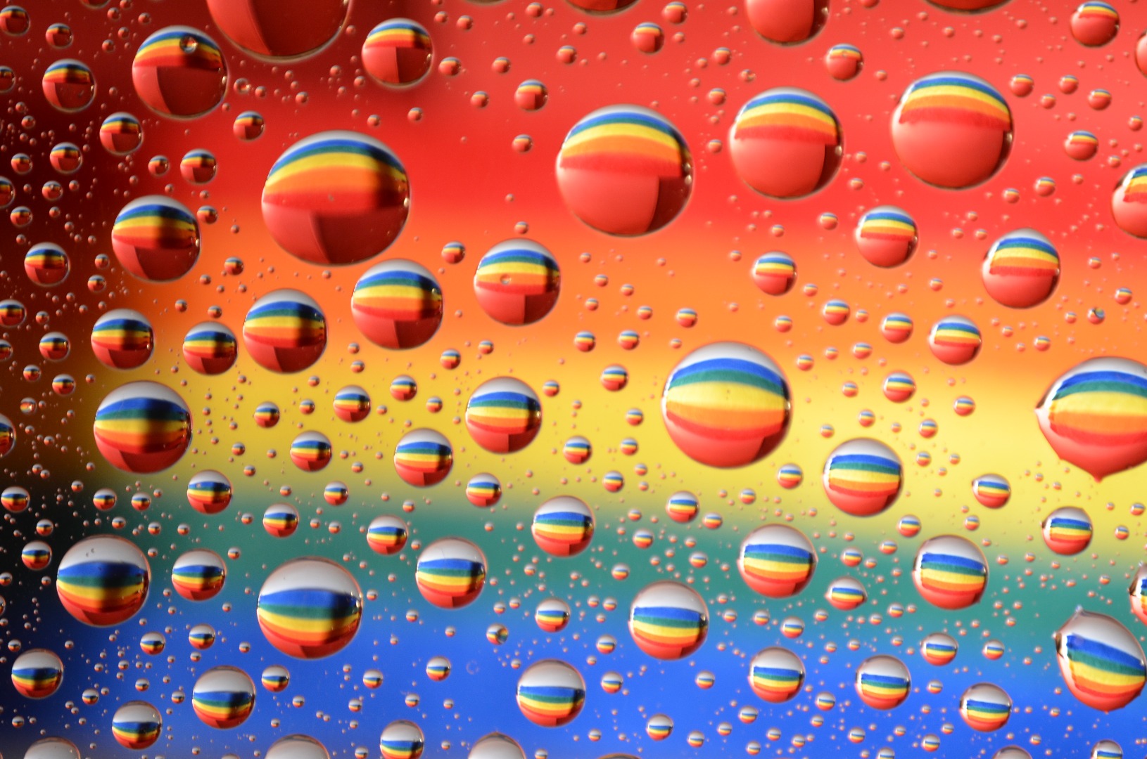 rainbow drop 029.JPG