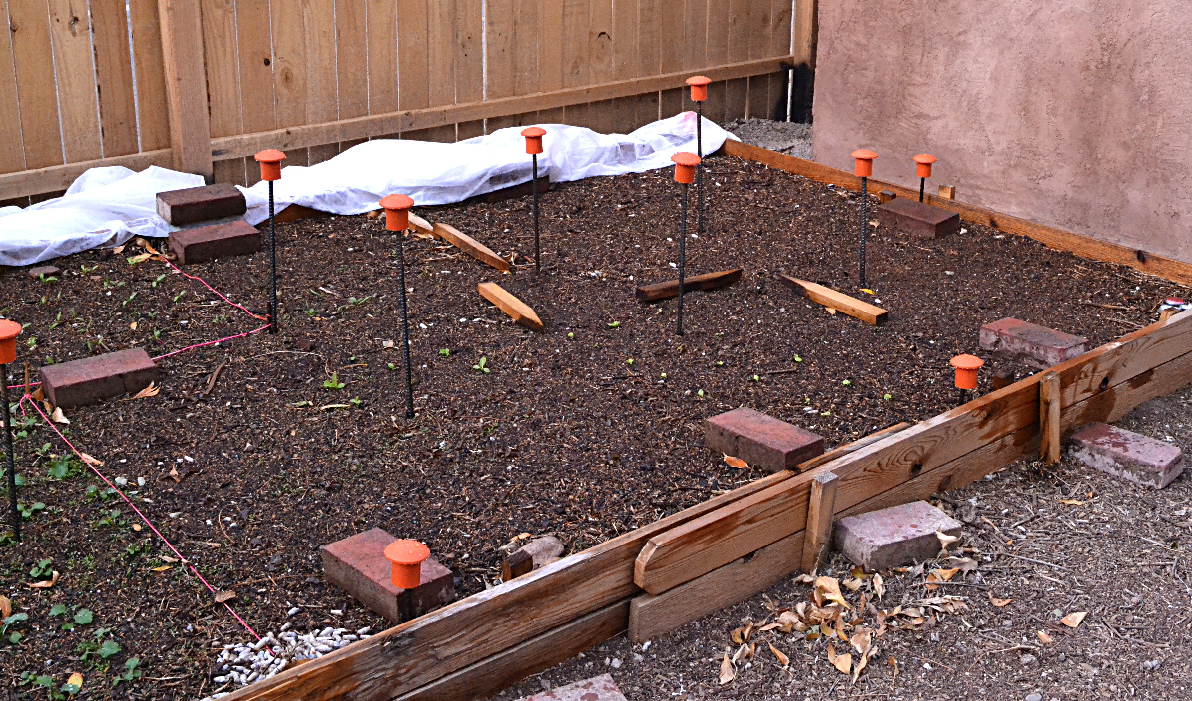 raised bed frost cover ready DSC_2059.JPG