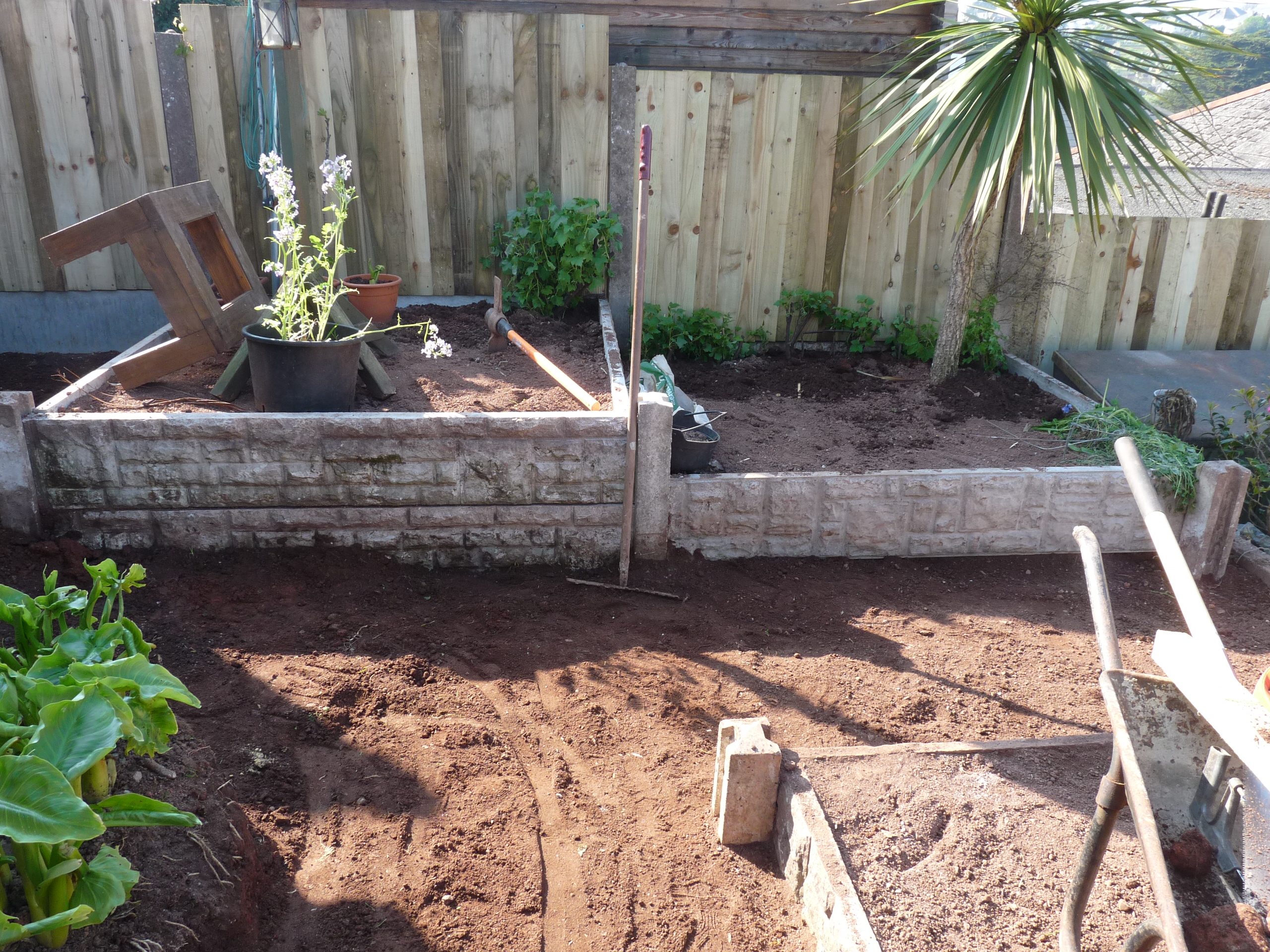 raised beds (21).JPG