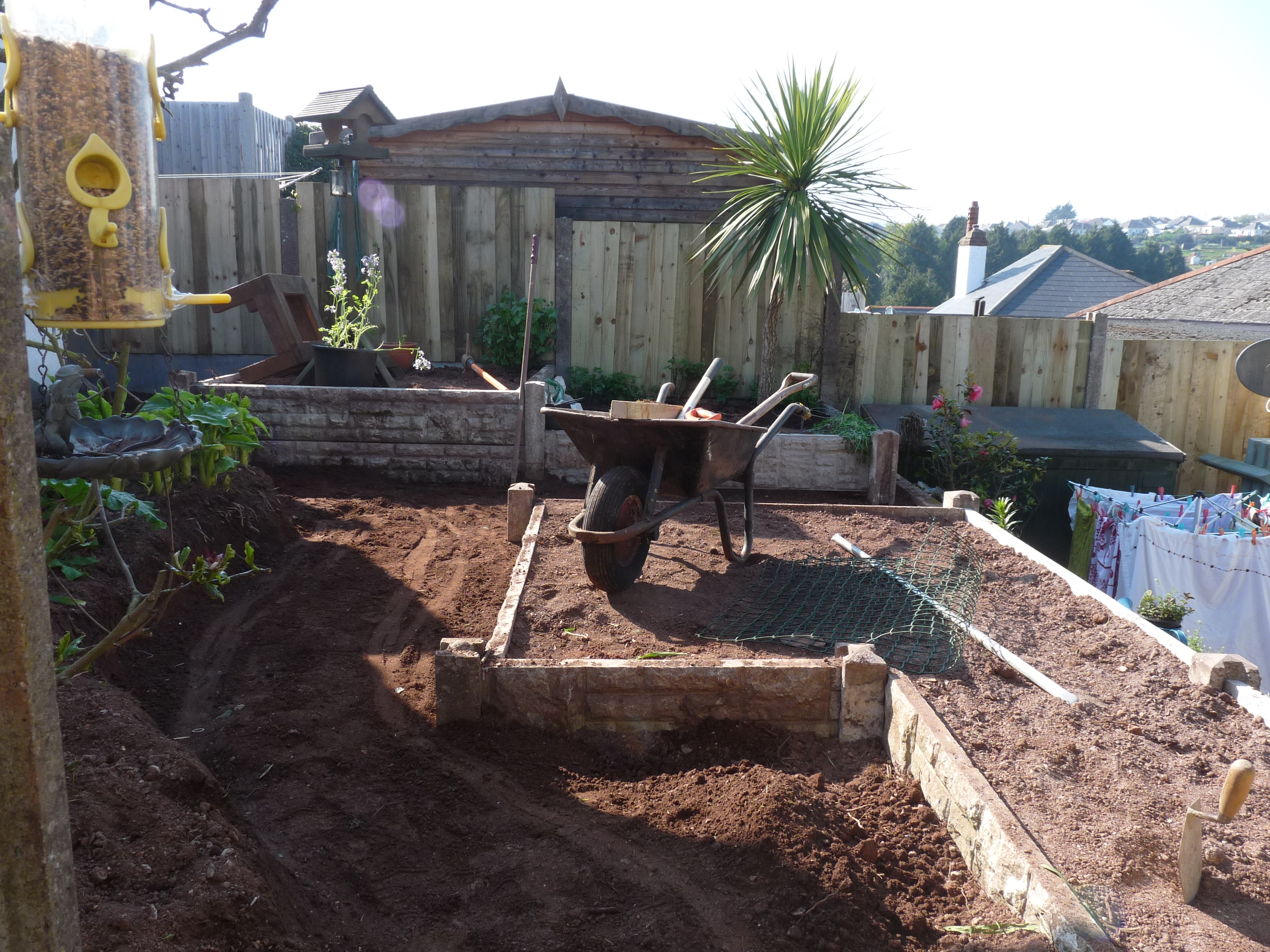 raised beds (22).JPG