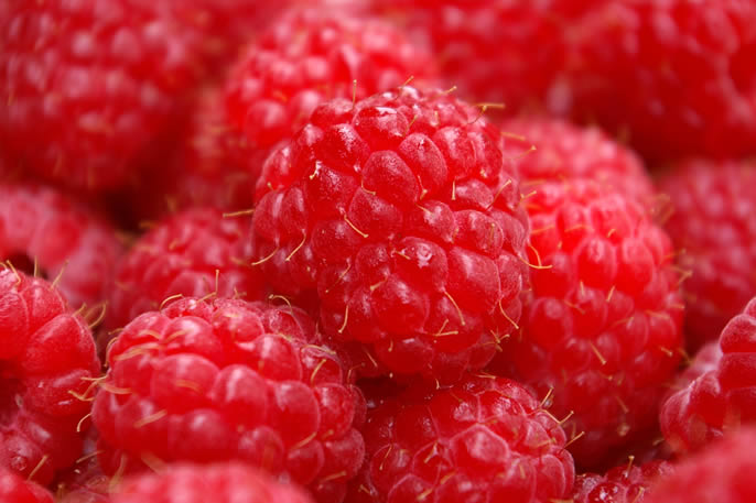 raspberries-716165.jpg