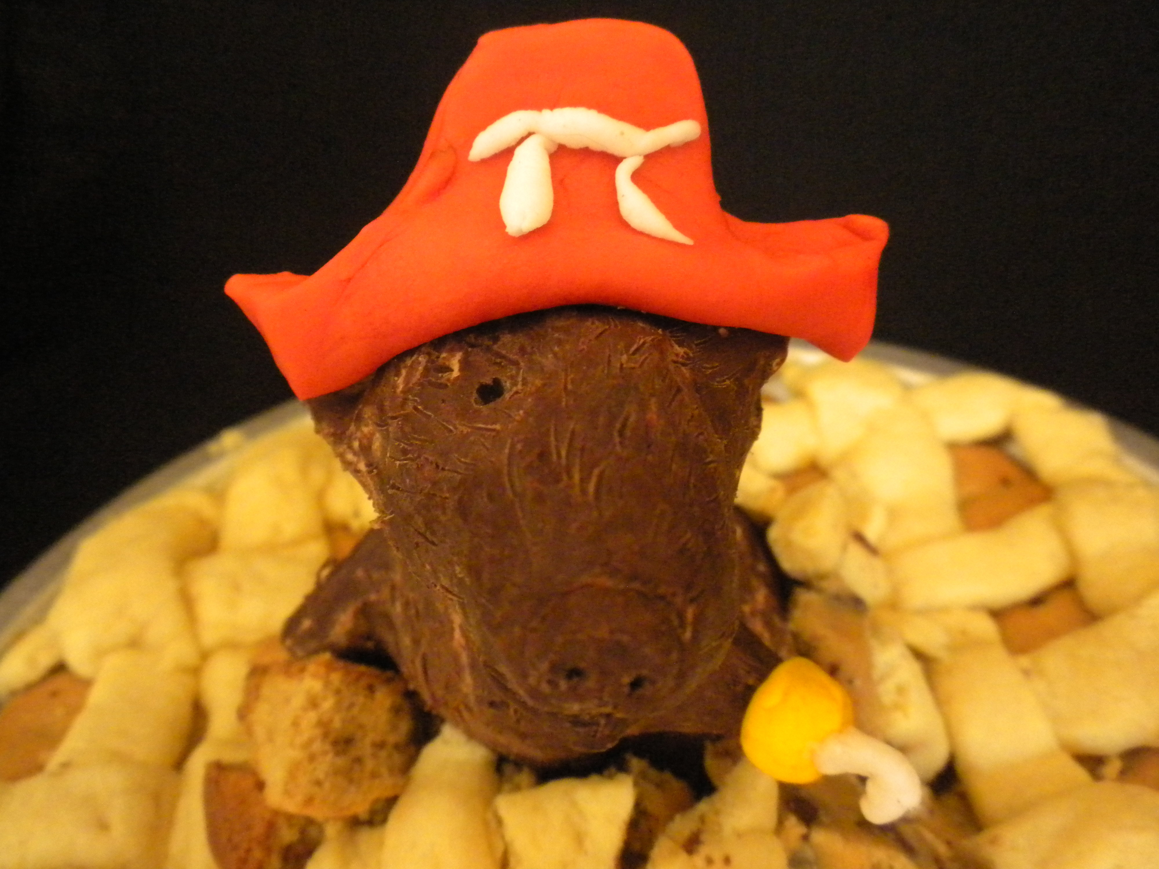 rat 11.JPG