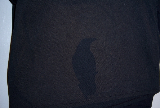 raven shirt.jpg