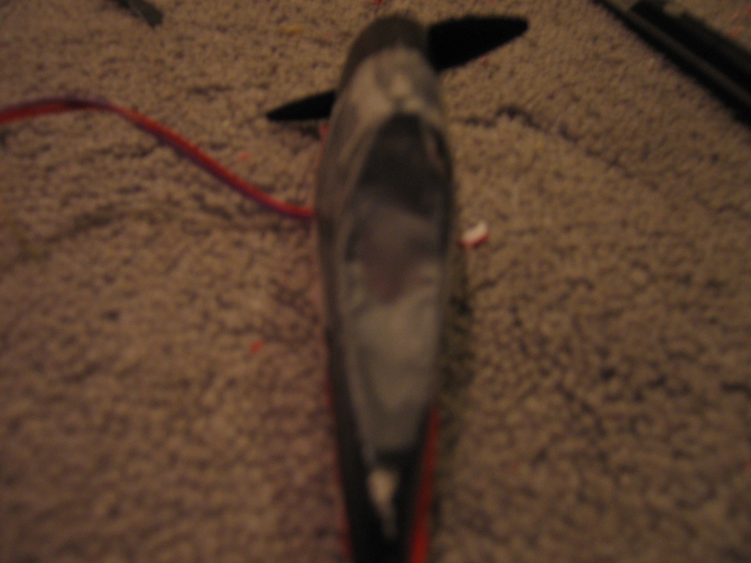 rc airplane boat 008.jpg