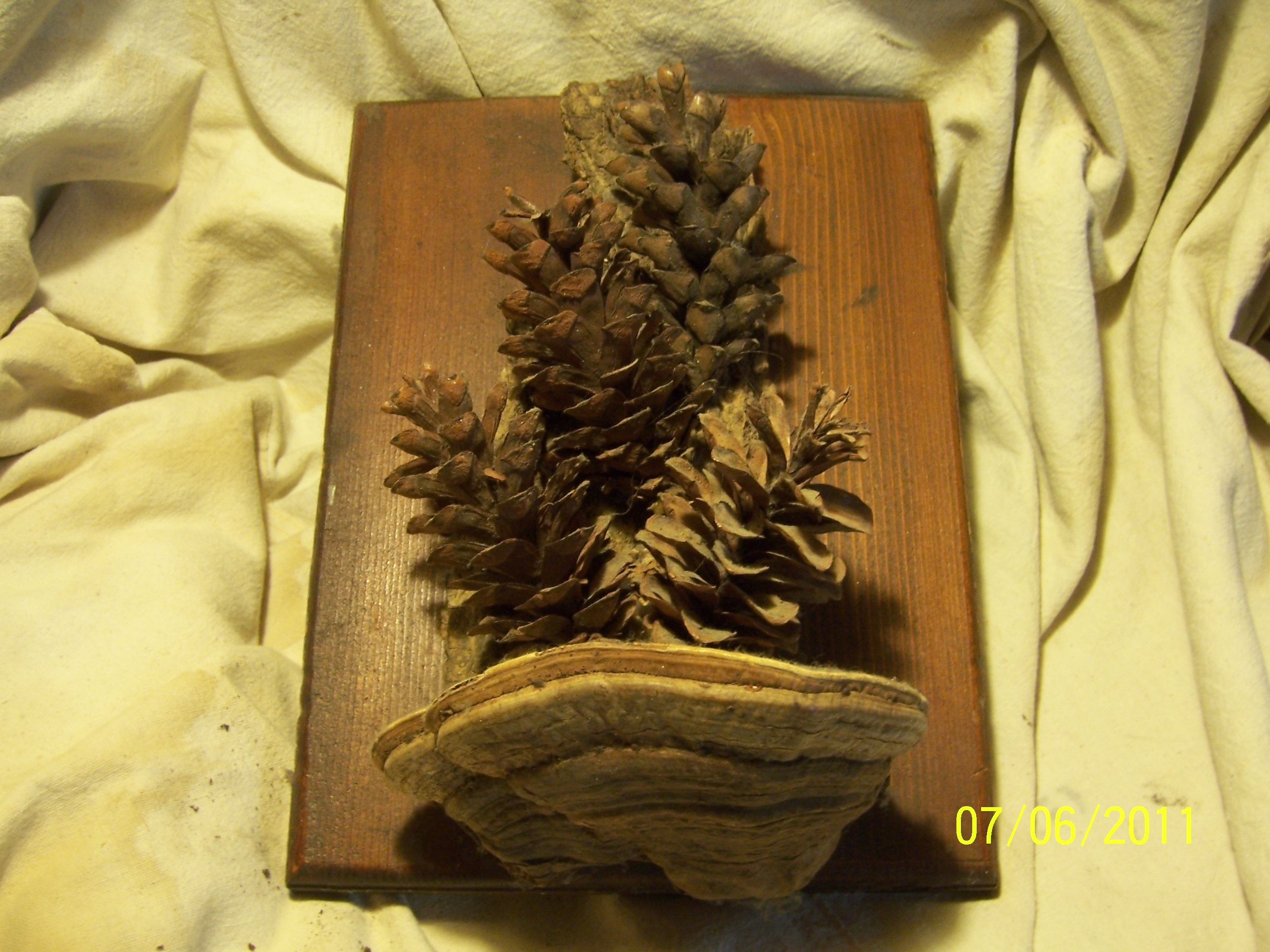 rectangular pine cone &amp; shroom plaque.JPG