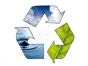 recycle image.jpg