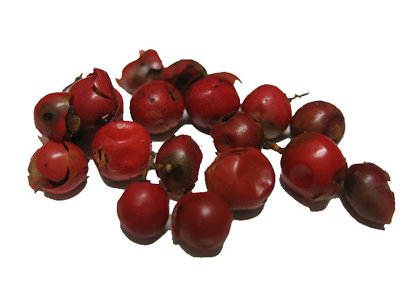 red peppercorns.jpg