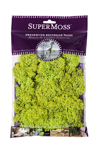 reindeer moss noinfo.png