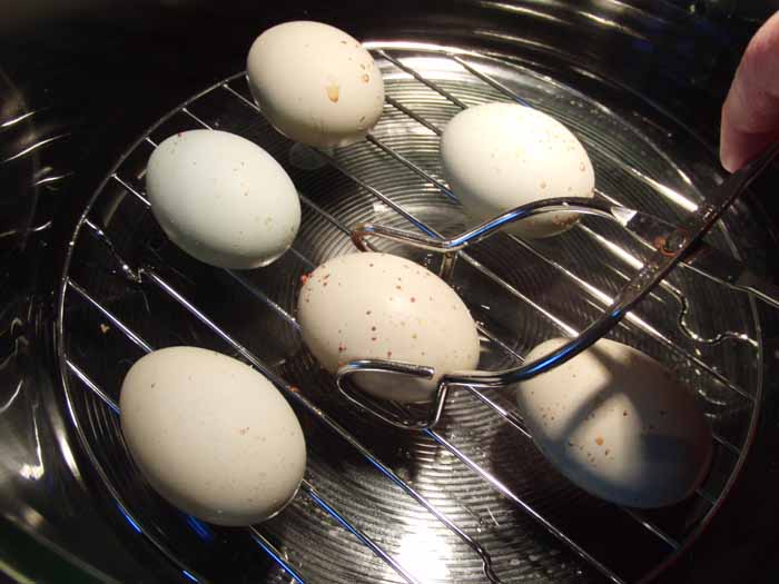 removing eggs from ovenweb.jpg