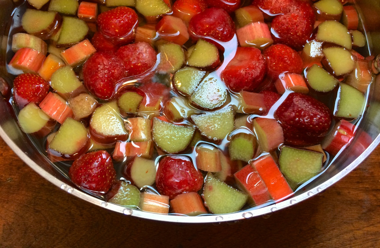 rhubarb strawberry in pot.jpg