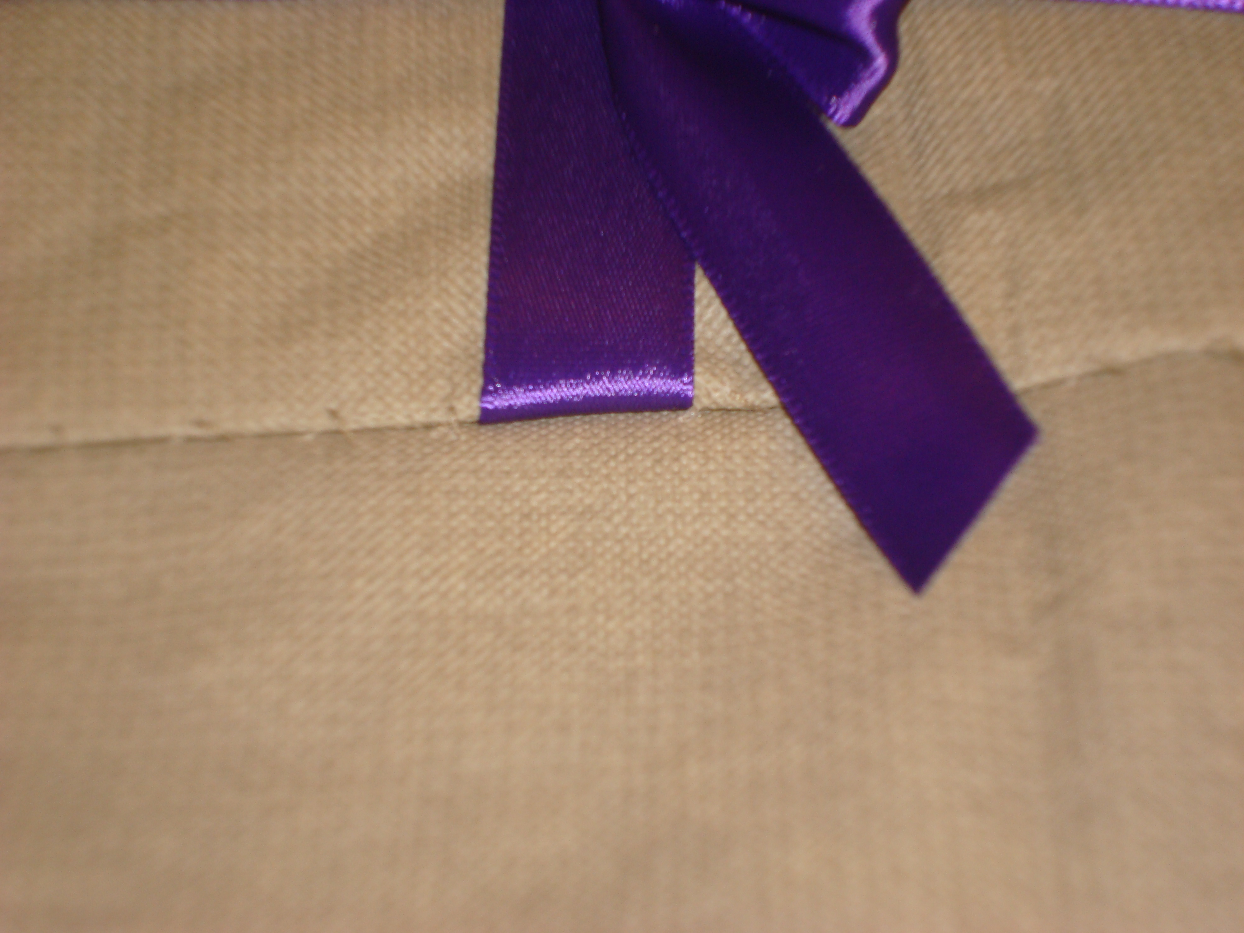 ribbon don't sew ribbon section.JPG