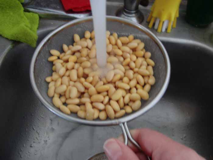 rinsing beans.jpg