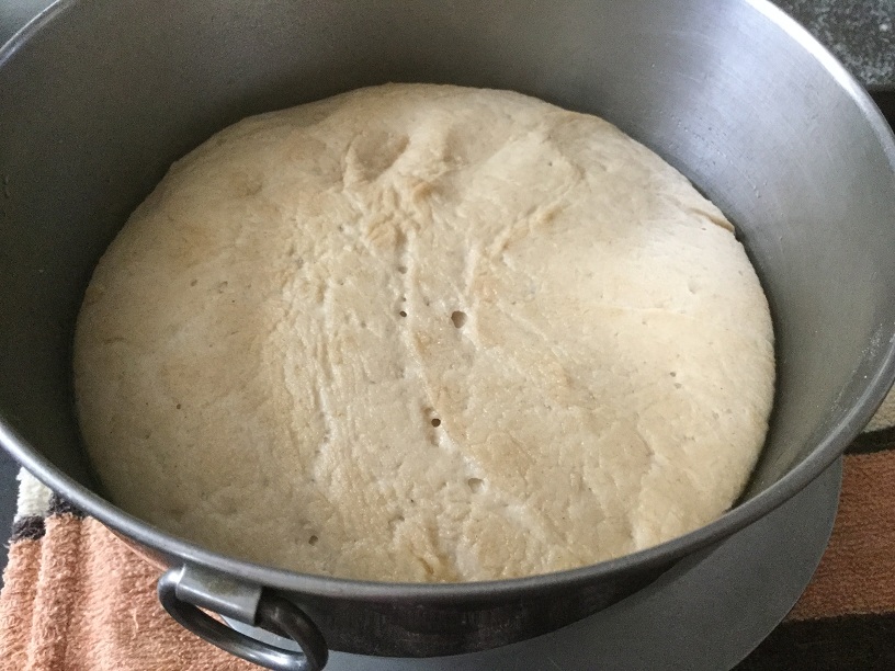 risen dough.jpg