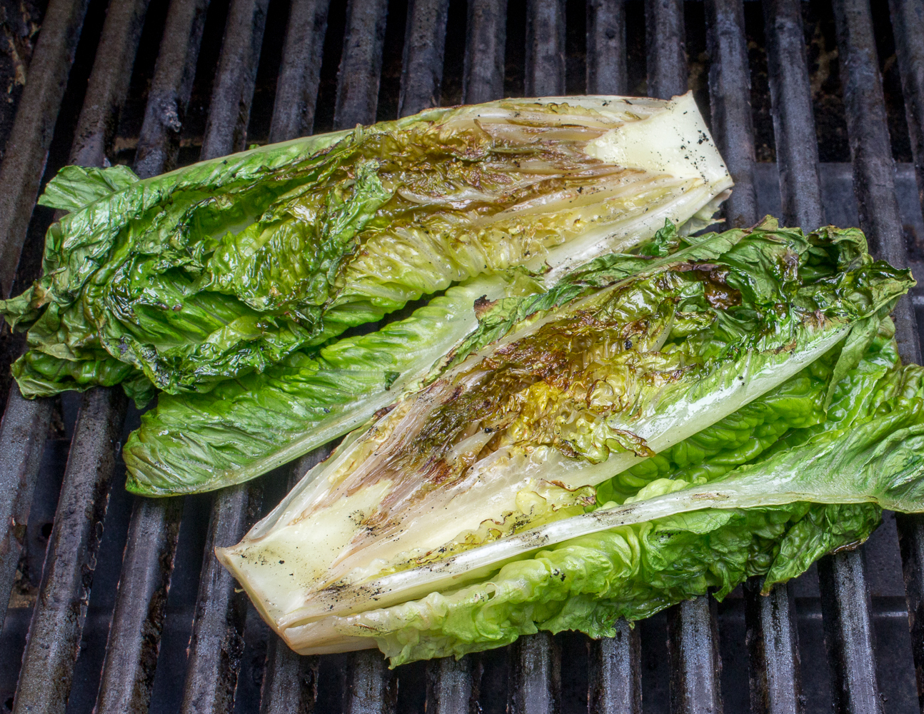 romaine13.jpg