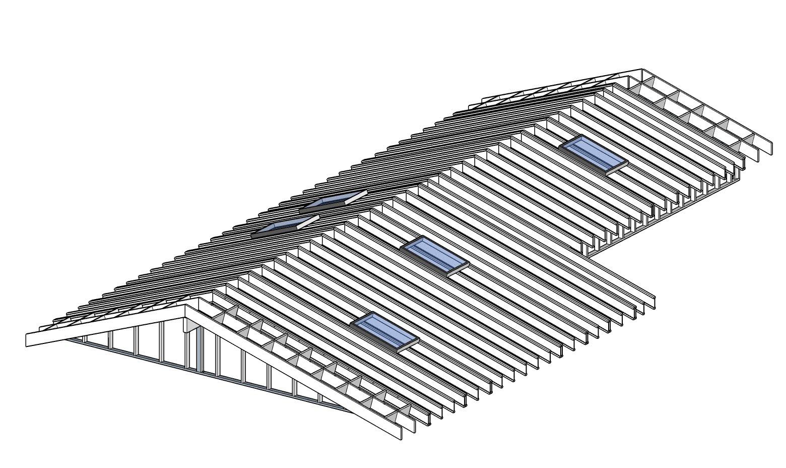 roof framing rafters.jpg