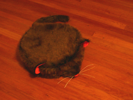 roomba_mouse_011AP.JPG