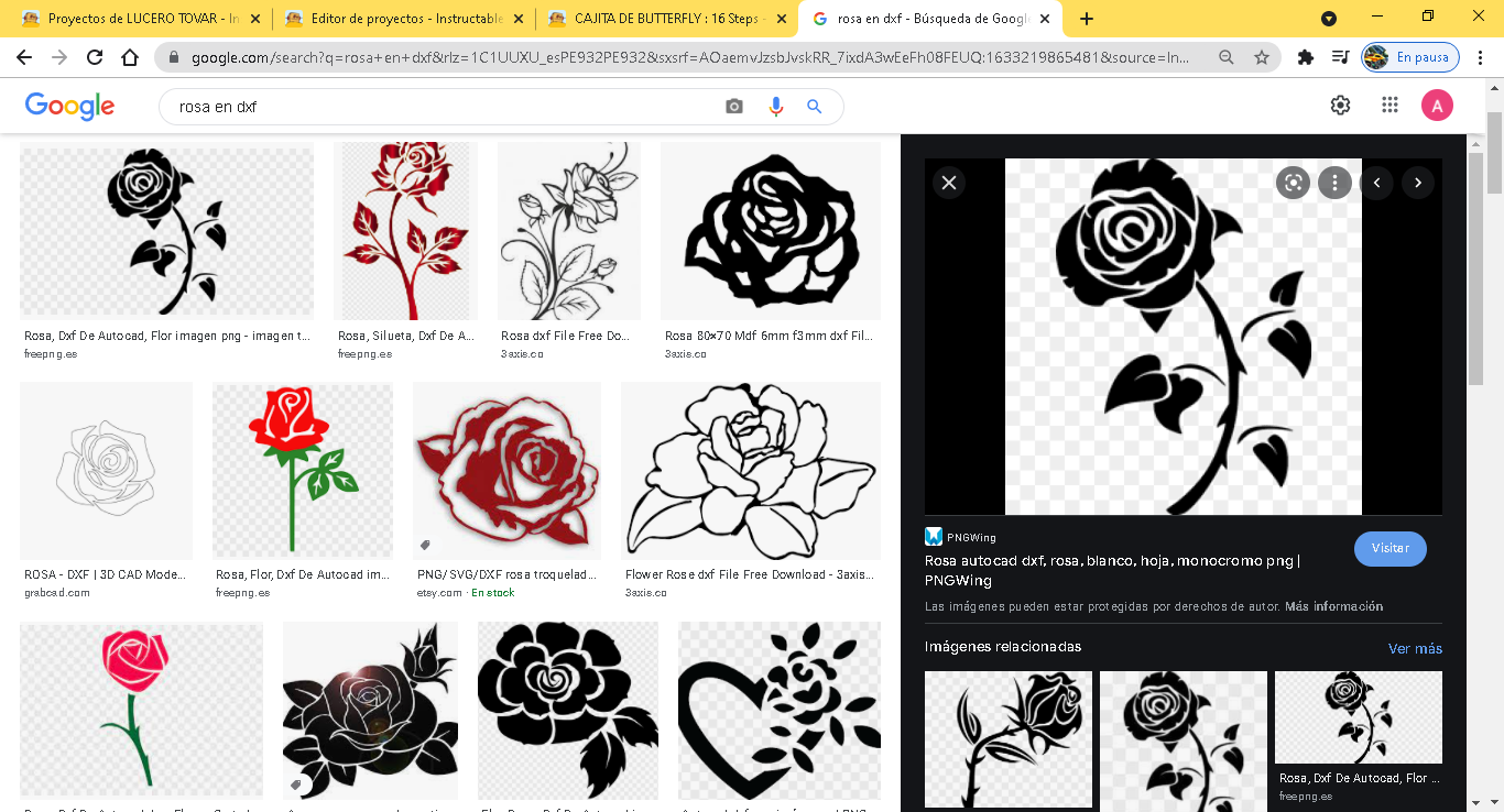 rosa en dxf - B&uacute;squeda de Google - Google Chrome 2_10_2021 19_14_30.png