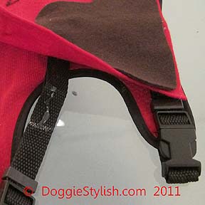 saddle-on-harness.jpg