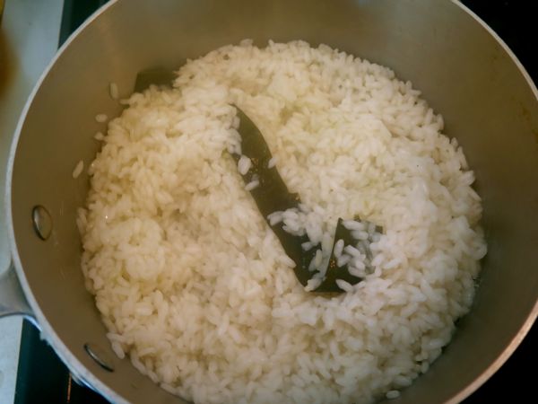 salmon_rice.jpg