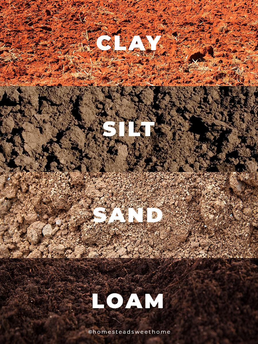 sandy soil types .jpg