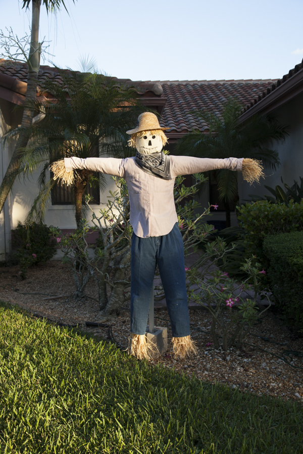 scarecrow-39.jpg