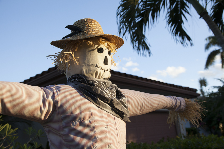 scarecrow-40.jpg