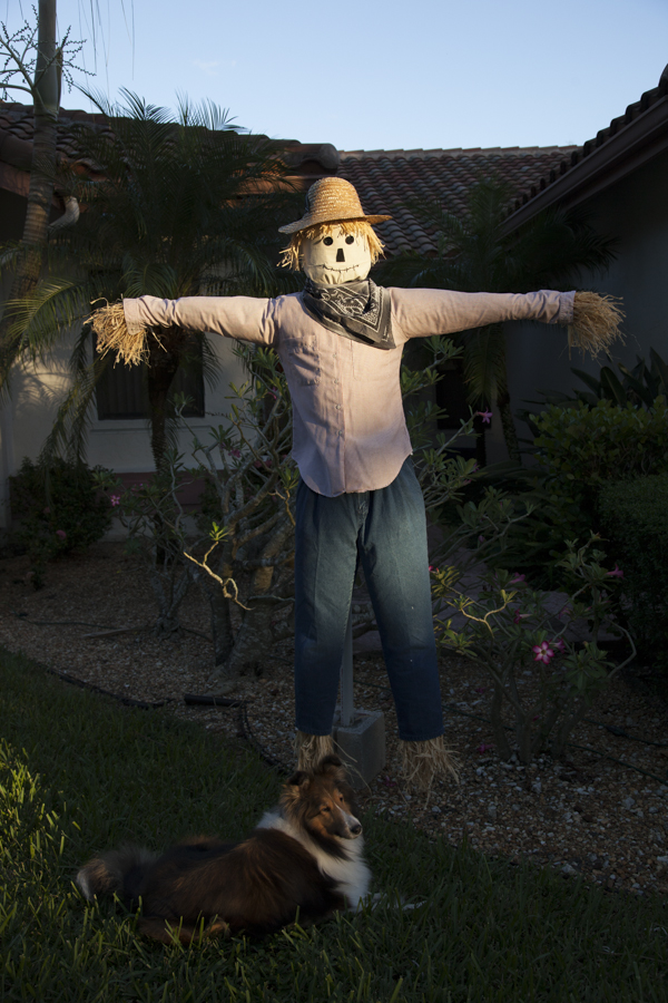 scarecrow-41.jpg