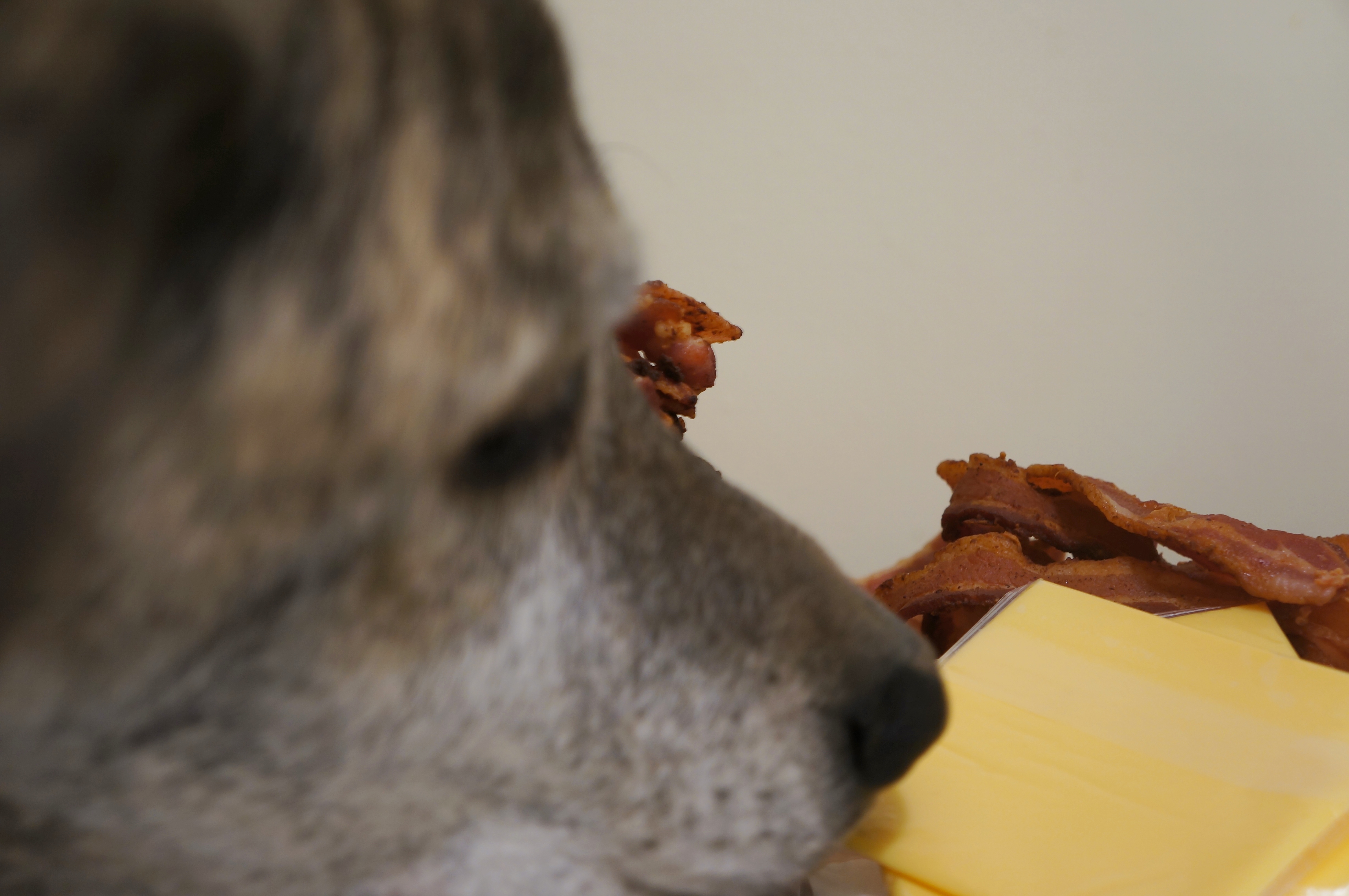 scooby cookbook 027.JPG