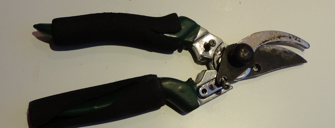 secateurs_01.jpg