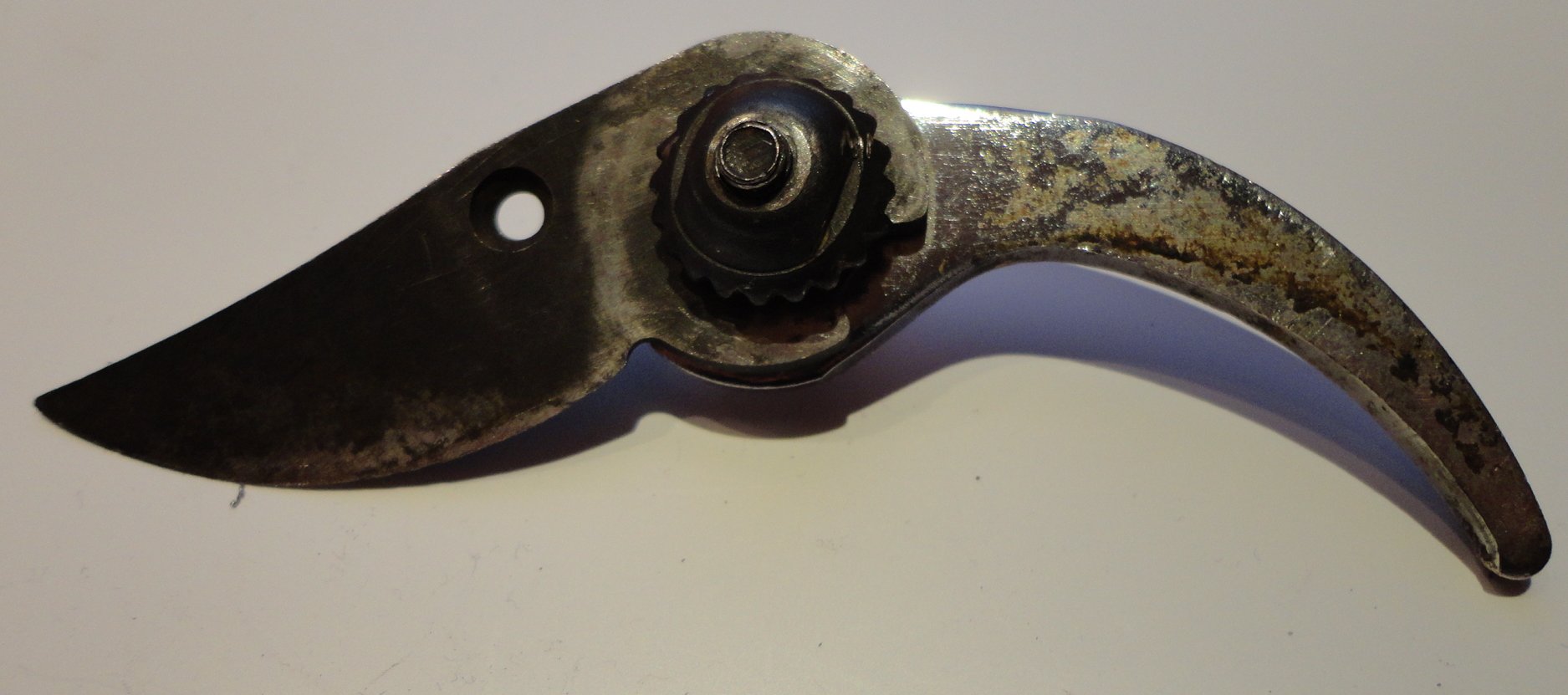 secateurs_04.jpg