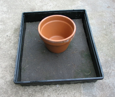 self-watering-tray_06.jpg