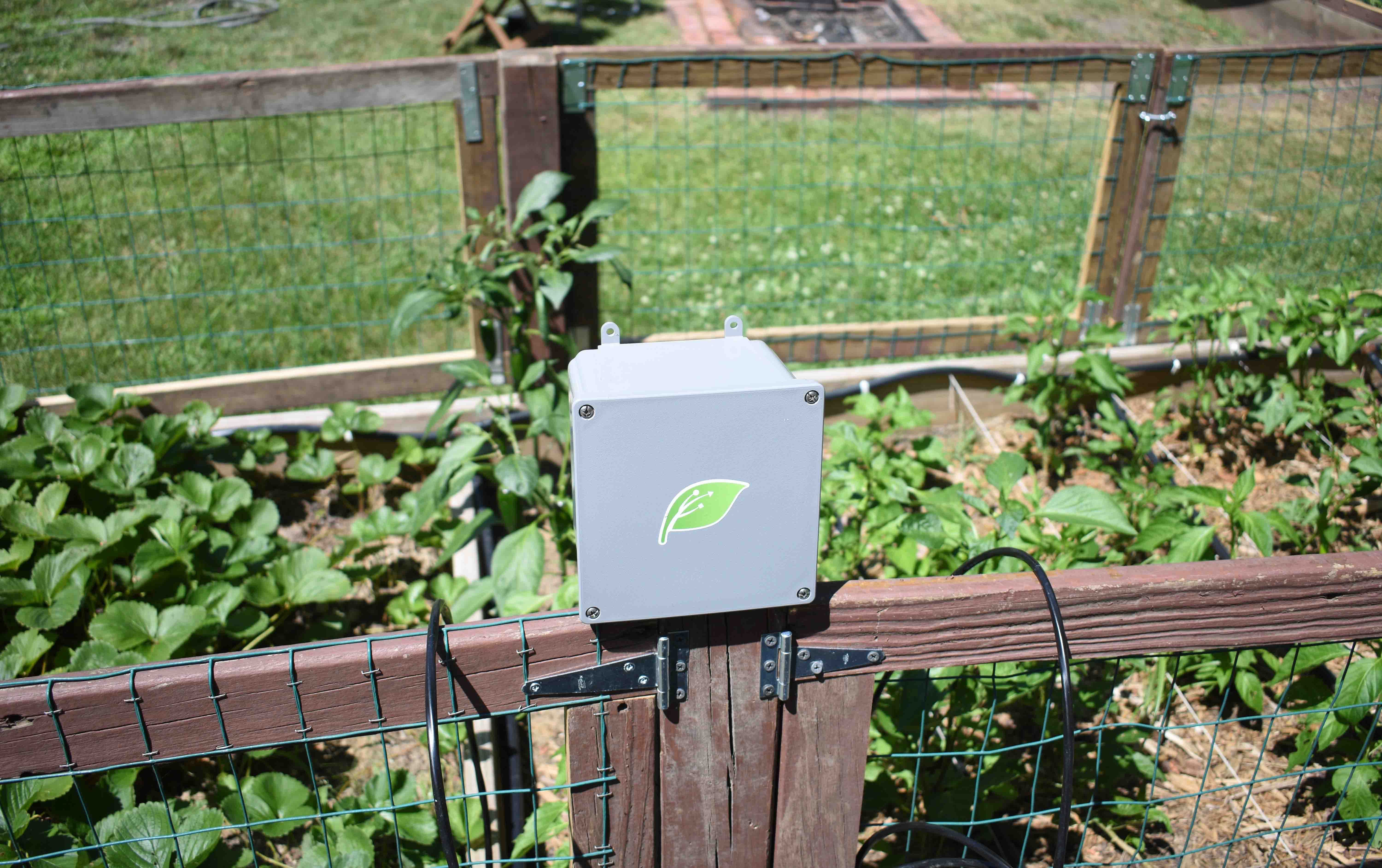 sensor unit - garden.jpg