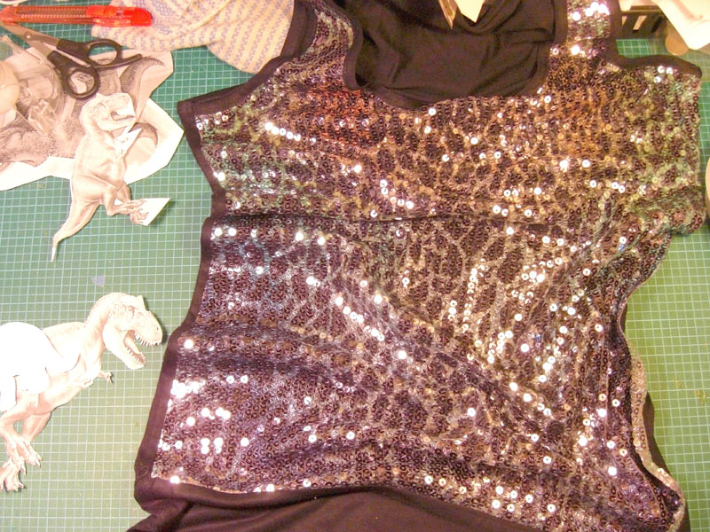 sequin 04.JPG