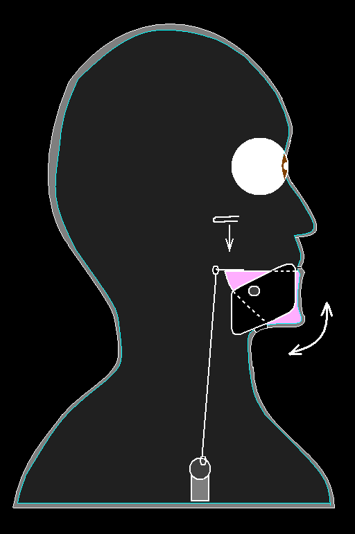 servo layout.bmp