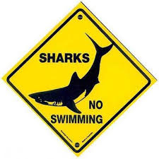 shark attack sign.jpg