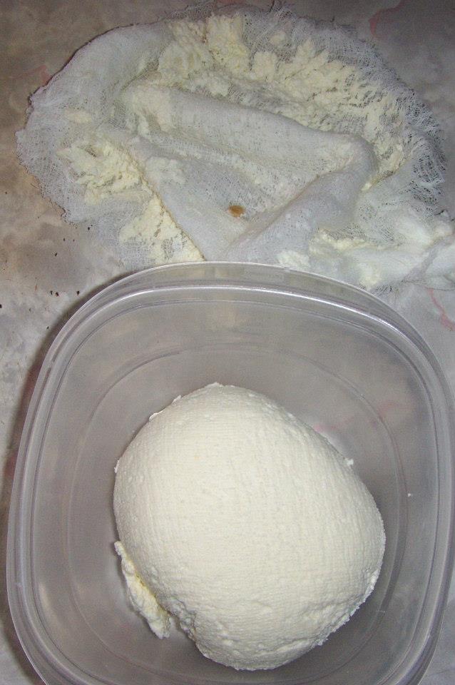 sheepcheese18.jpg