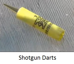 shotgundarts.jpg