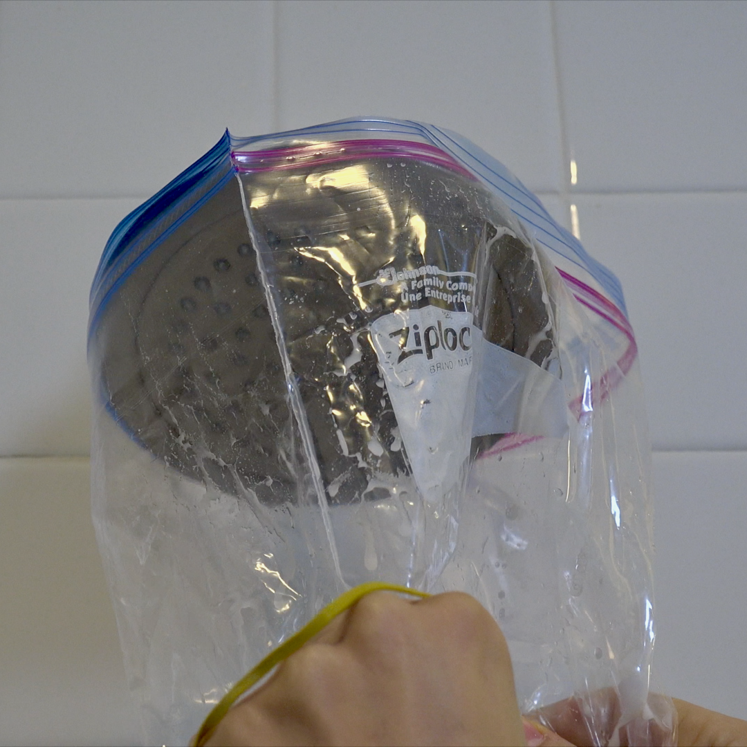 showerhead-clean - 8.1.png